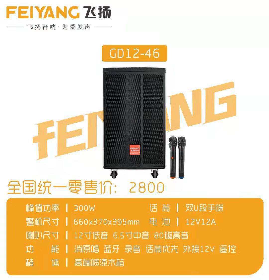 Feiyang GD12-46